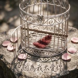 只因為我太愛你