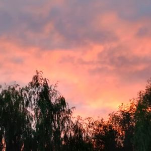 梦想家（dreamer）(Prod.by GOAT CREW)