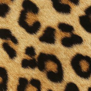 JOKY - TABA9 (feat. HATAKE)