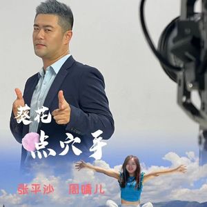 葵花点穴手 伴奏