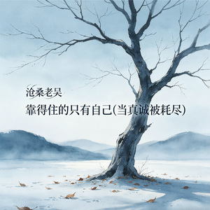 靠得住的只有自己(当真诚被耗尽)