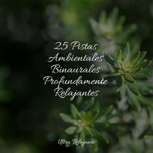 Florecimiento Del Amor