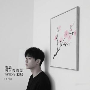 凌晨四点我看见海棠花未眠