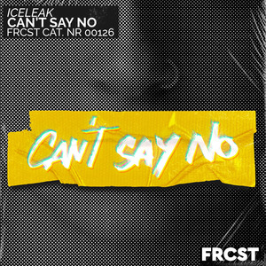 Can't Say No