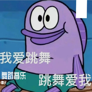 Niall-傣族逢生（雷子 remix）