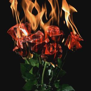 热情跳脱的表演者——ESFP印象曲