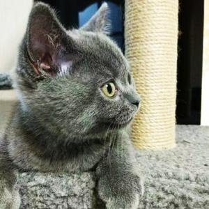 感谢在最美的时间遇见你demo