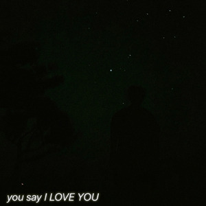 you say I LOVE YOU