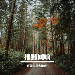 孤影回响