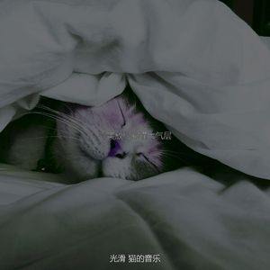 温和可爱的猫梦想