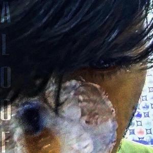 Aloof (feat. Pingaksh)