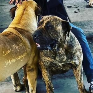 Late Night (Ain't Stressin Pt. 2)