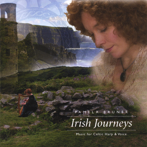 In a Kilkenny Pub / The King of Rome