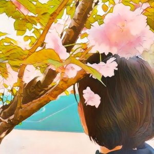 花 （cover 鞠婧祎）