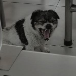 虎视眈眈（PROD BY FaunmU）