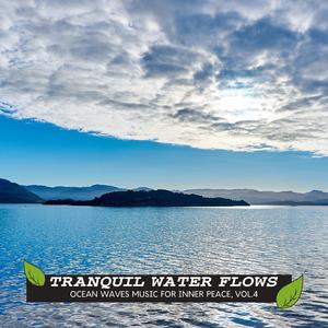 Inside Birds Light Sound