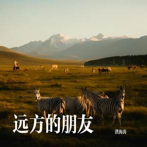 远方的朋友