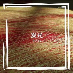寻寻觅觅