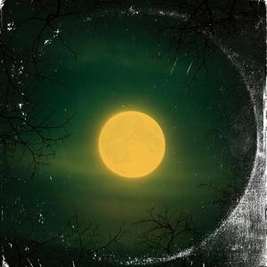 Useless (feat. BGS Matt)