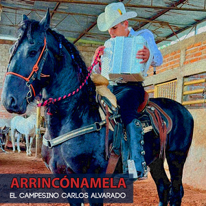 Arrincónamela