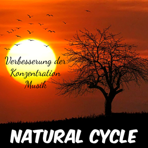 Lotus Flower (Chakra Balancing)