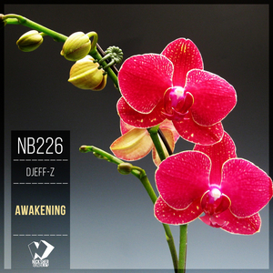 Awakening (Original Mix)
