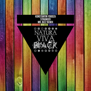 Stranger (Mr. Bizz Remix)