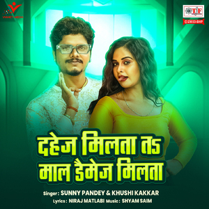 Dahej Milta Ta Maal Damage Milta