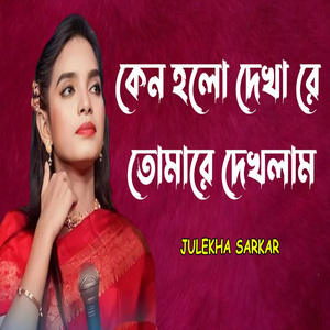 কেনো হলো দেখারে