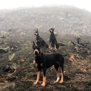 就当个爱好【ProdbyHeisenberg】