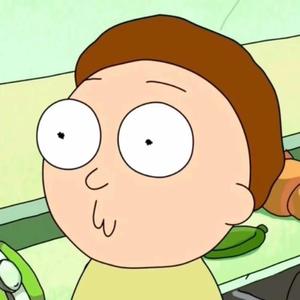 想要做只猫然后忘了所有烦恼吃吃喝喝幸福快乐