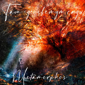 Там, Где Цветут Сады