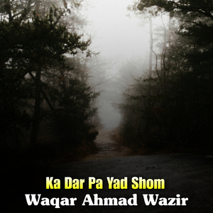 Saba Bega Darta Ralegi Bia Jarge Janana