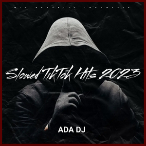 DJ Stupid Heart X Imut Aisah