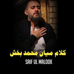 Mian Muhammad Bakhsh New kalam 2024 | Saif Ul Malook | Bewafa Rishtay Poetry | Aarfana Kalam.