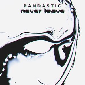 Never Leave (Extended Mix)