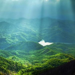 溪流与蛙鸣 助眠白噪音