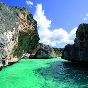 赛马 钢琴四手联弹