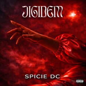 Jigidem