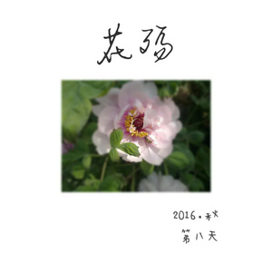 花殇