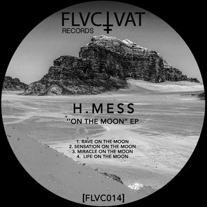 Rave On The Moon (Original Mix)