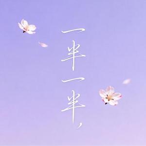 一半一半 (释怀版)  (Remix)
