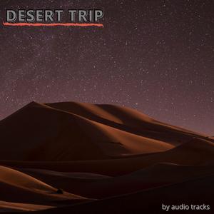 DESERT TRIP