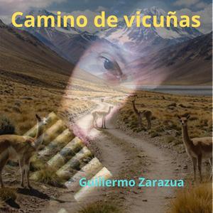 Camino de vicuñas