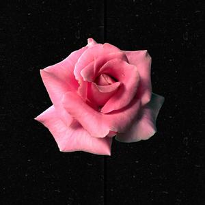 គេងទៅគេមិនតបសារយើងទេ