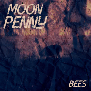 原来和你看月亮也分期啊