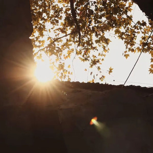 花开花落花无悔 缘来缘去缘如水