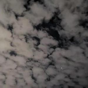 火钳留名2021（翻自 姜云升）