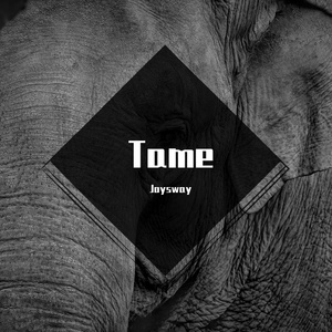 "Tame“ 孟菲斯 Memphis type beat Young dolph 146BPM