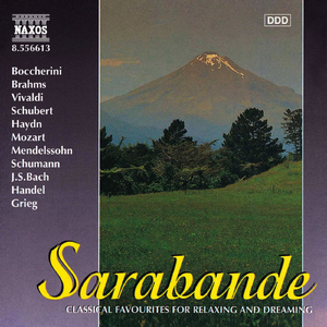 Violin Concerto No. 5 in A Major, K. 219, "Turkish":Adagio